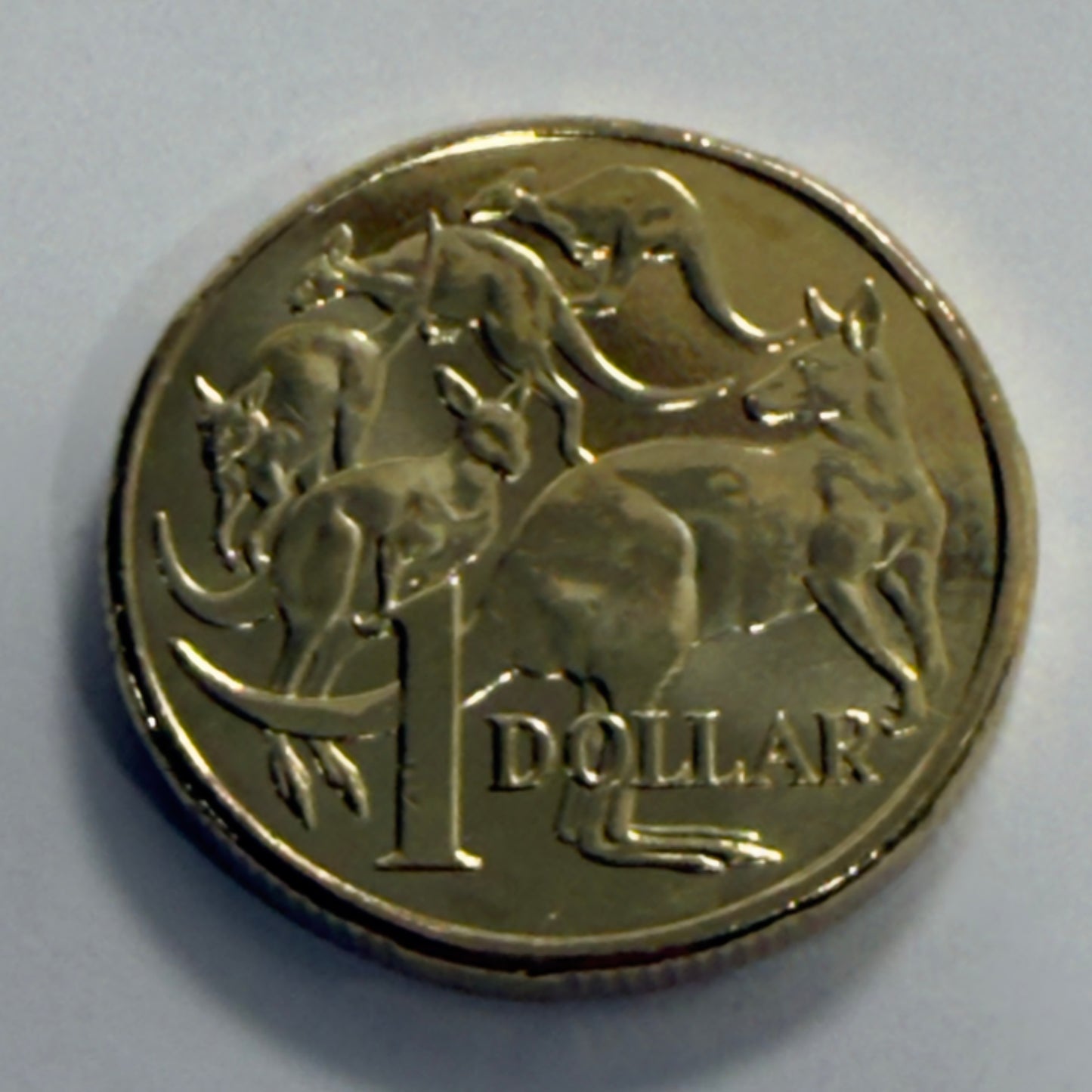 2025 $1 Mob of Roos Coin - Uncirculated - One Dollar - comes in 2x2