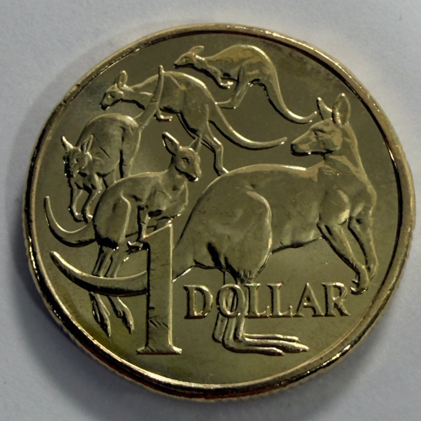 2025 $1 Mob of Roos Coin - Uncirculated - One Dollar - comes in 2x2