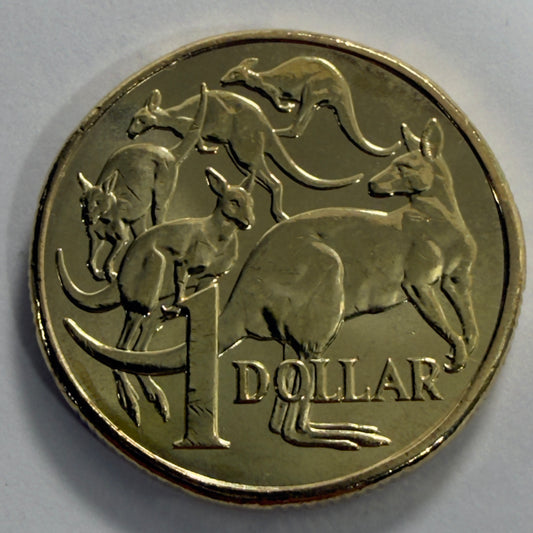 2025 $1 Mob of Roos Coin - Uncirculated - One Dollar - comes in 2x2