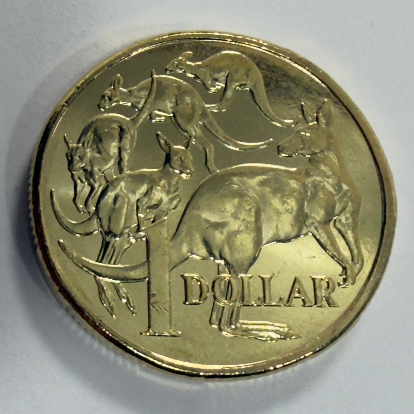 2025 $1 Mob of Roos Coin - Uncirculated - One Dollar - comes in 2x2