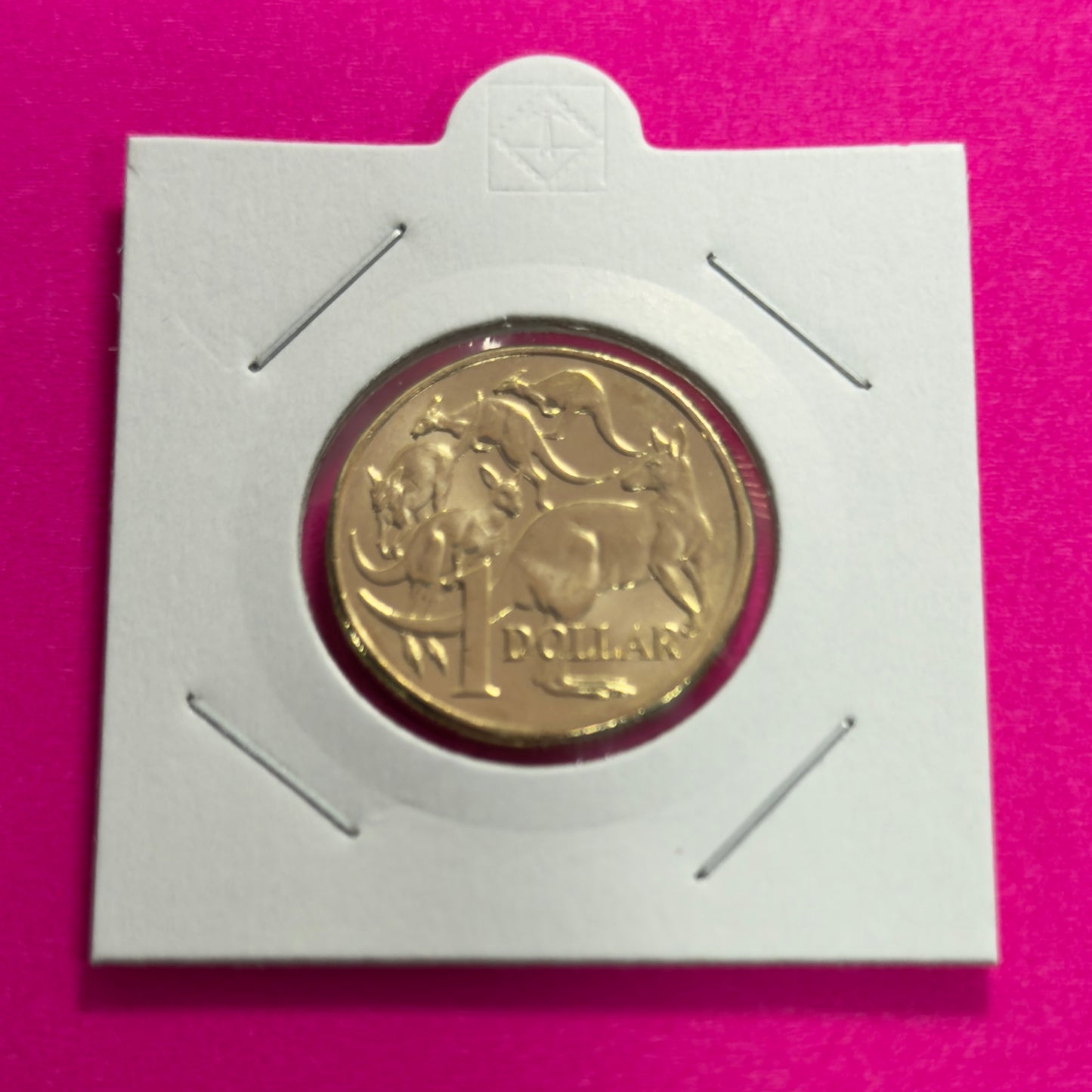 2025 $1 Mob of Roos Coin - Uncirculated - One Dollar - comes in 2x2