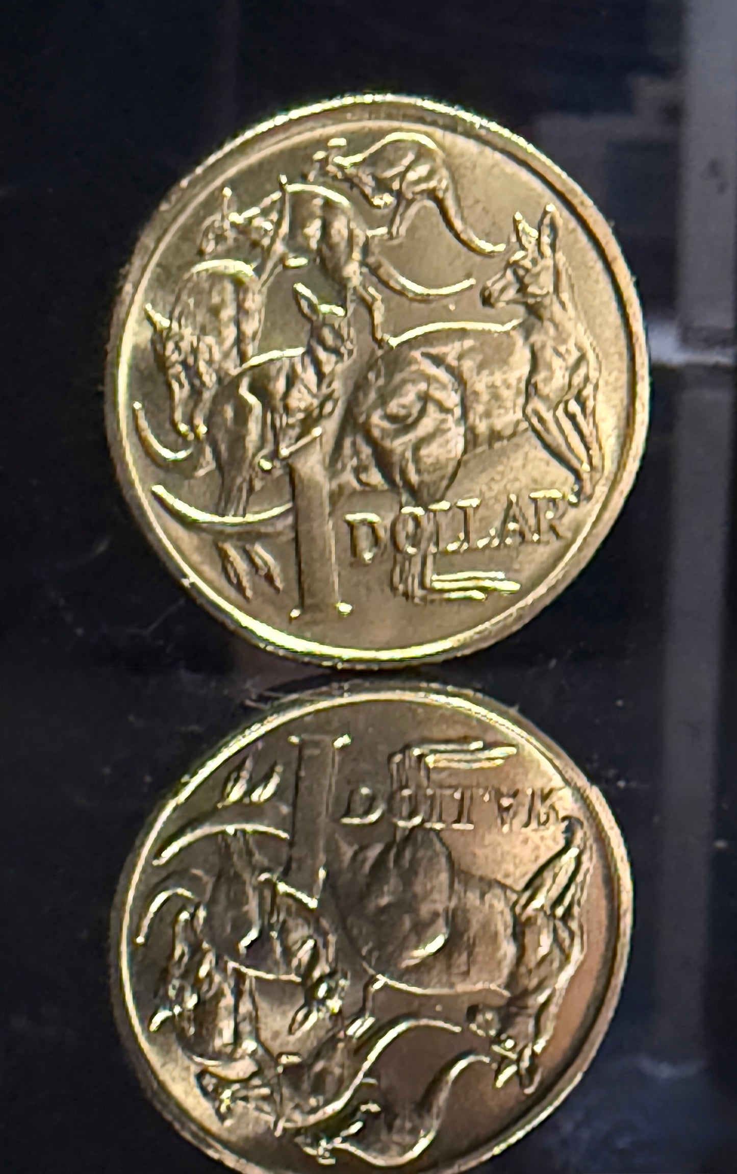 2000 $1 - Mob Of Roos Coin - Choice Uncirculated - ex mint set coin - 2x2