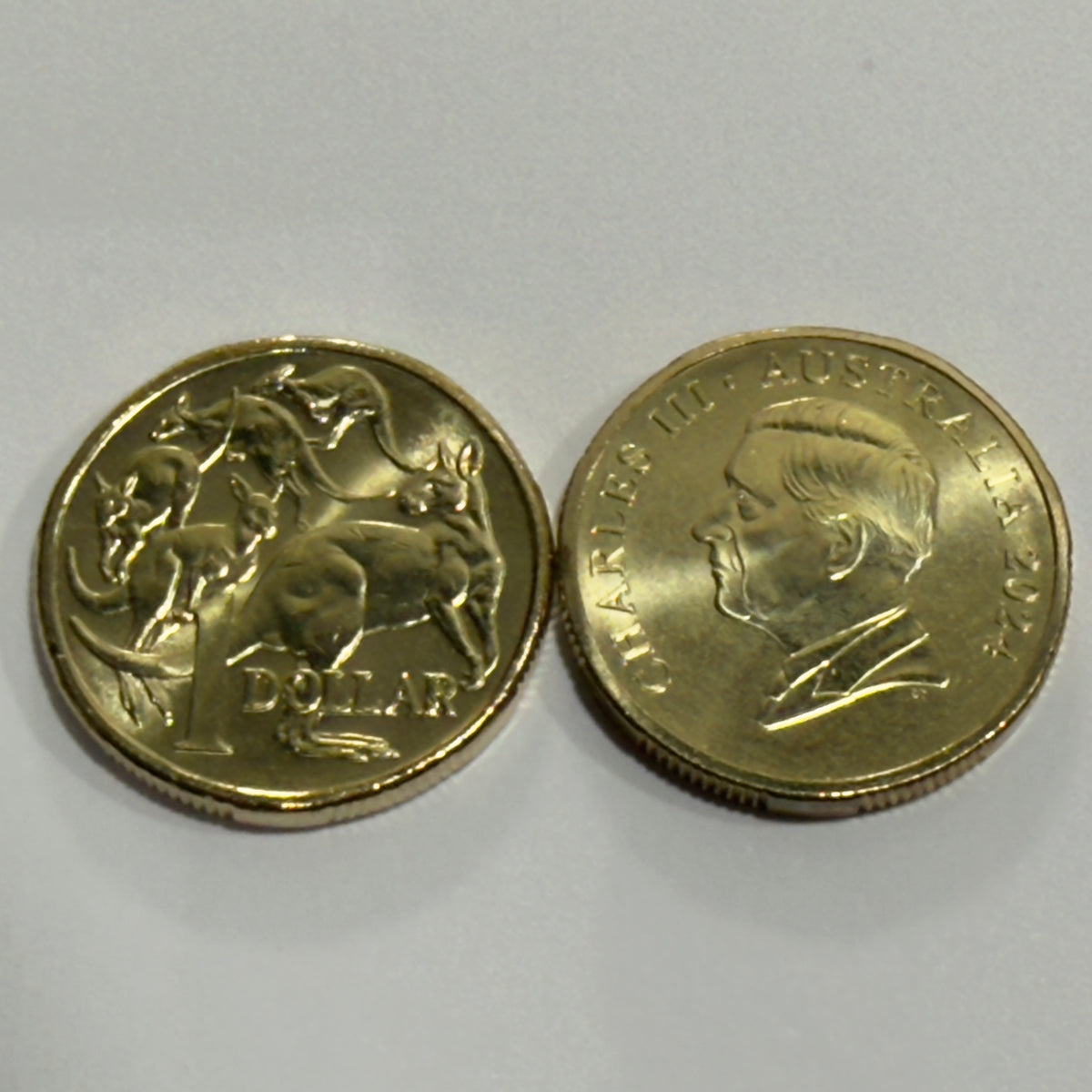 2024 $1 Coin - Uncirculated - One Dollar - ex premium roll - comes in 2x2
