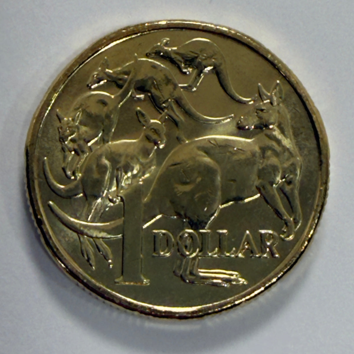 2024 $1 Coin - Uncirculated - One Dollar - ex premium roll - comes in 2x2