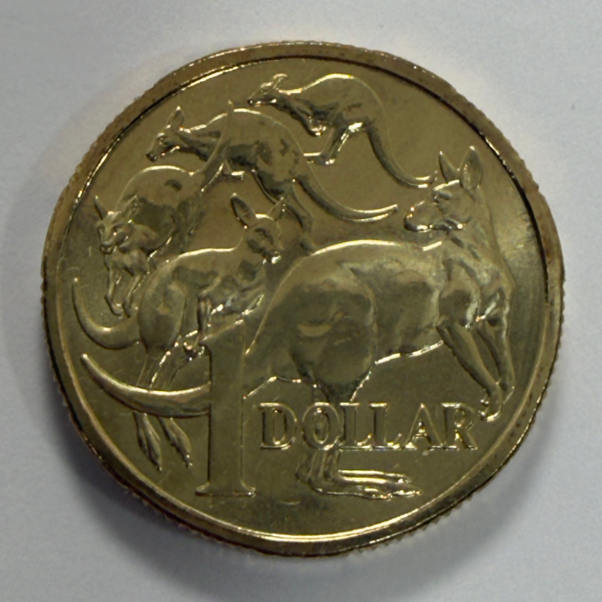 2024 $1 Coin - Uncirculated - One Dollar - ex premium roll - comes in 2x2