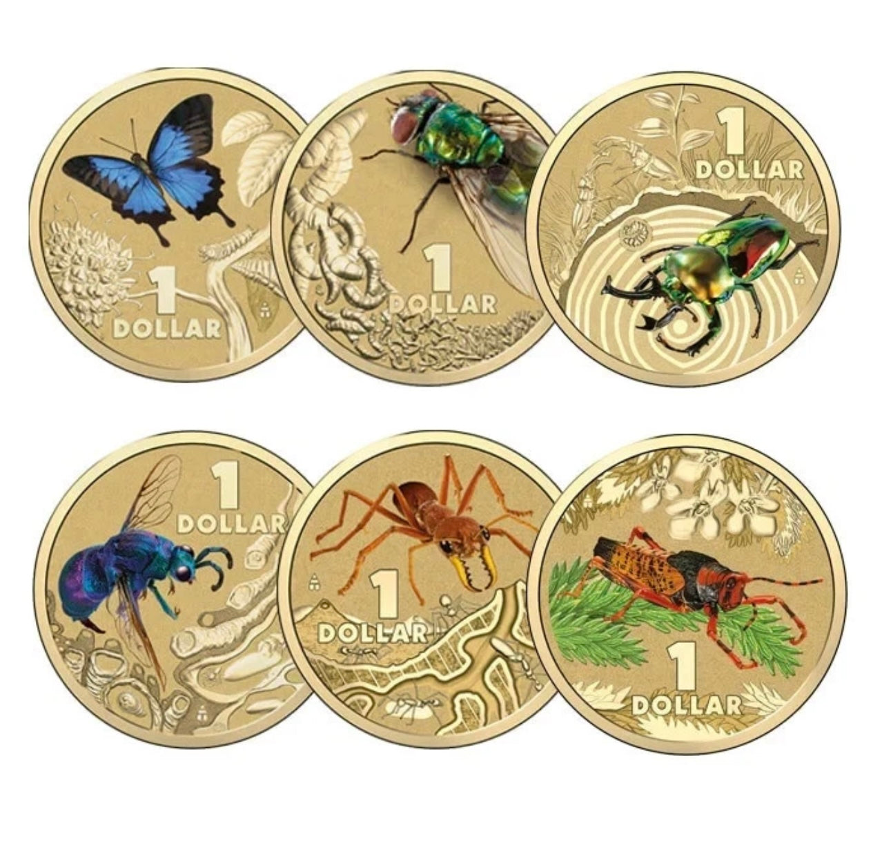 2014 Bright Bugs $1 Coloured Coins - Carded set of 6 - New Age Numismatics