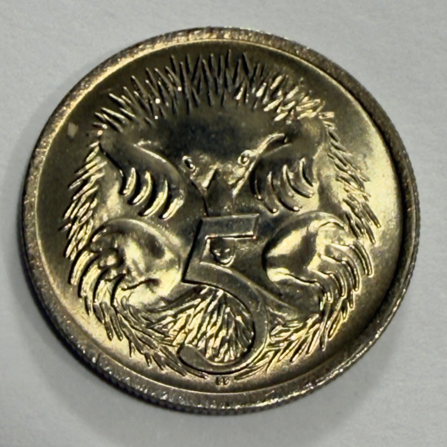 1967 5 Cent Coin - Uncirculated - Echidna Five Cent 5c - comes in 2x2