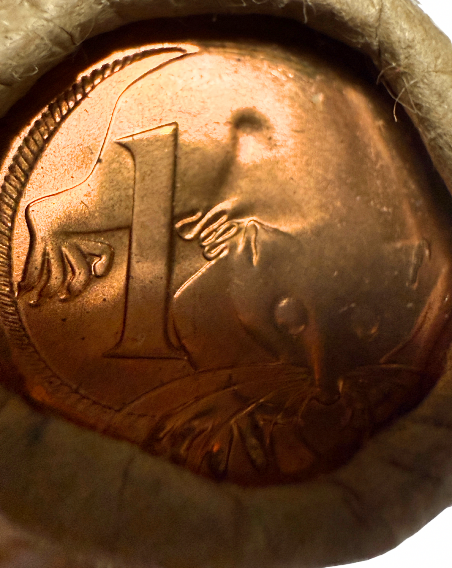 Close up view of the reverse of a one cent royal australian mint roll.